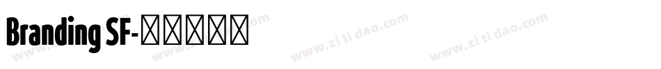 Branding SF字体转换